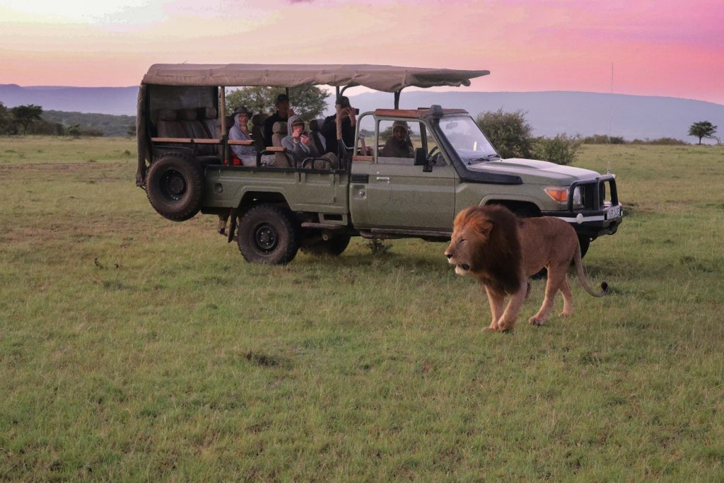 Safari guests on a game drive in a vehicle provided by a Kenya ground operator