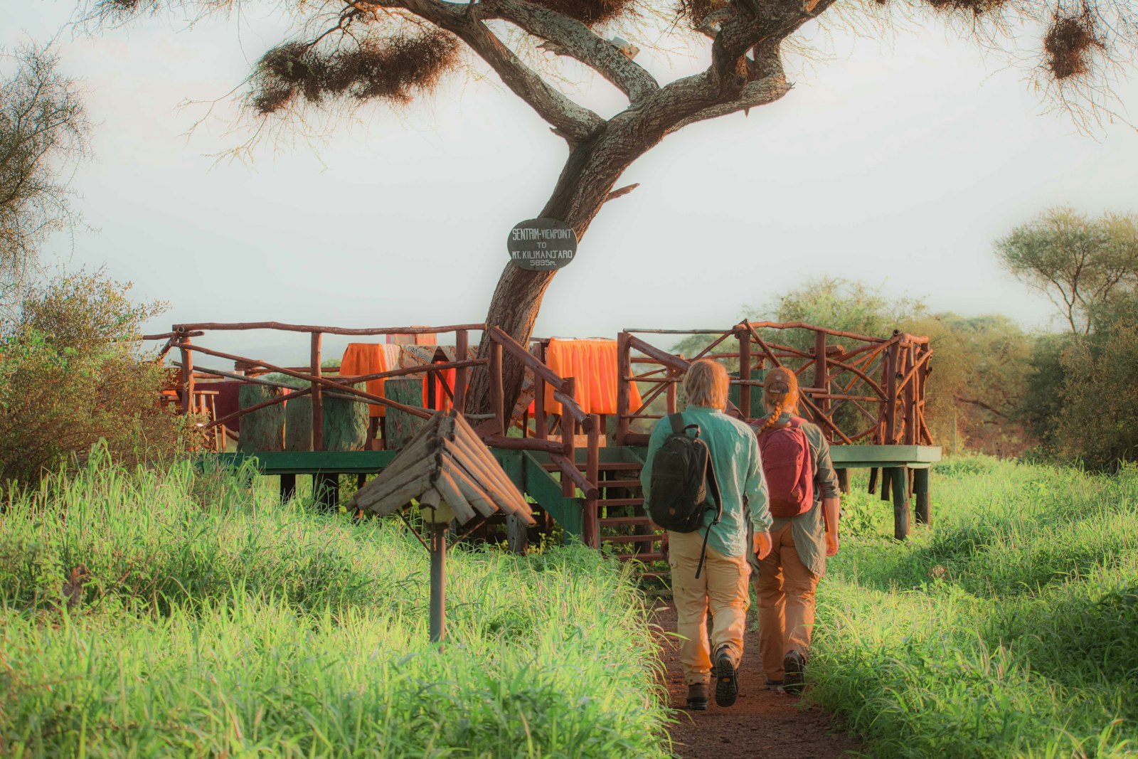 Two people walking through long savanna grass on a guided bush walk in Kenya