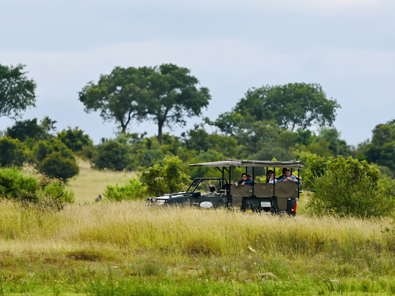 Group of travellers riding on a safari vehicle during a game drive in Kenya