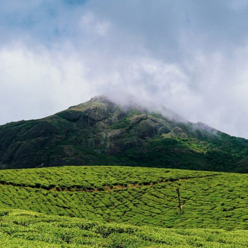 Green hills and ridge landscape near Nairobi, the setting for a Ngong Hills hike