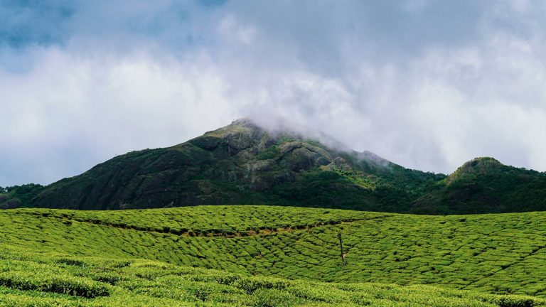 Green hills and ridge landscape near Nairobi, the setting for a Ngong Hills hike