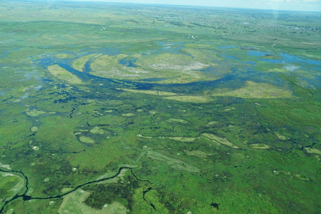 Kenya vs Botswana safari: aerial view of a river winding through green Okavango Delta wetland