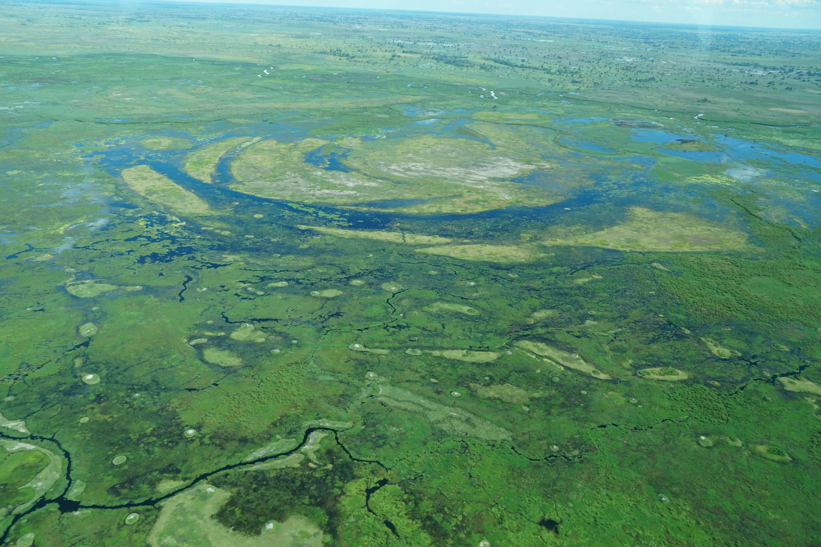 Kenya vs Botswana safari: aerial view of a river winding through green Okavango Delta wetland