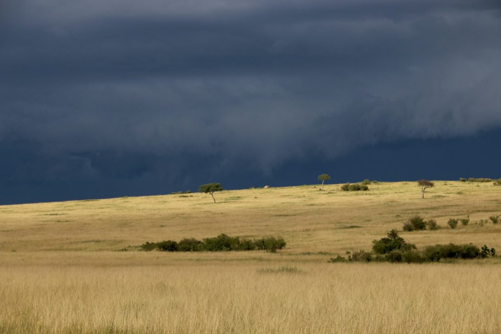 Kenya weather by month: dark rain clouds gathering over the open African savanna