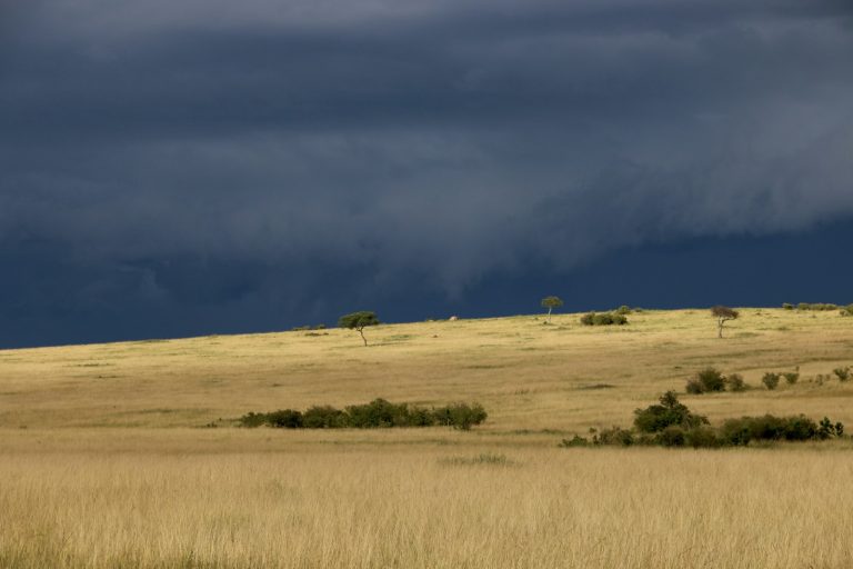 Kenya weather by month: dark rain clouds gathering over the open African savanna