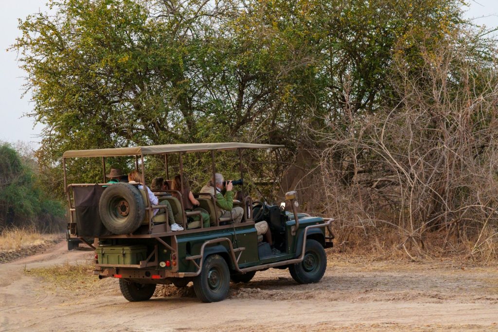 What is included in a Kenya safari: guests on a game drive in a safari vehicle