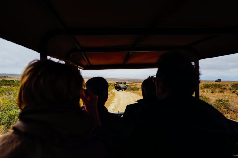 Questions to ask before booking a safari: travellers riding in a safari vehicle