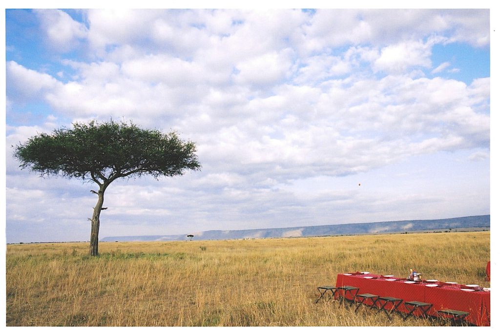 Full board vs all inclusive safari: long dining table set beneath an acacia on the savanna