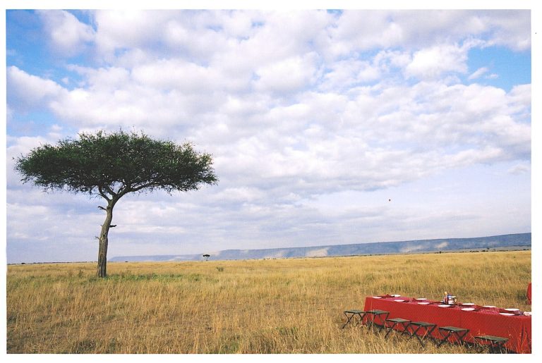 Full board vs all inclusive safari: long dining table set beneath an acacia on the savanna