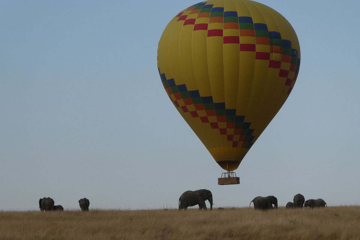 Hot air balloon safari over the Masai Mara plains